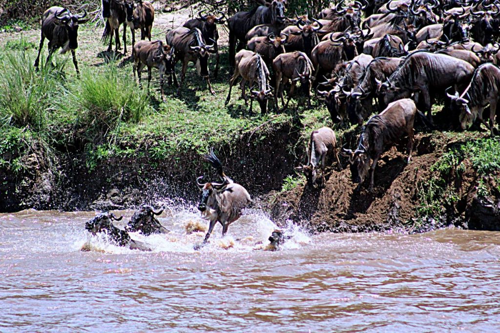 nature responsible safari uganda ltd