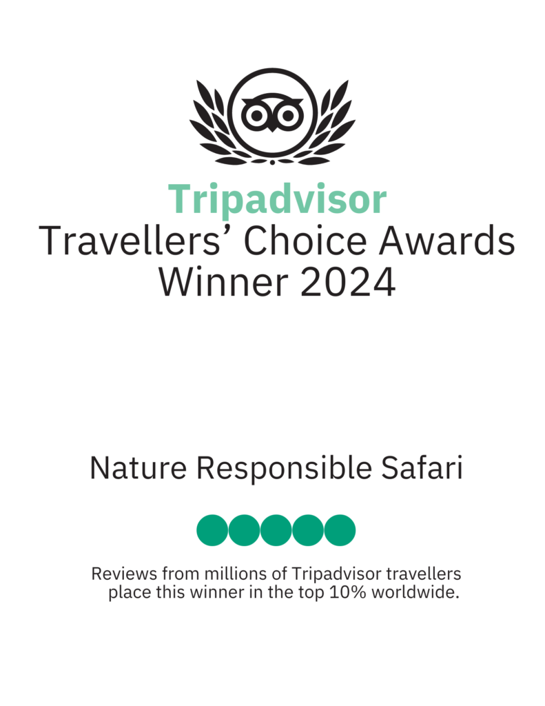 Tripadvisor Auszeichnung Travellers Choice Award